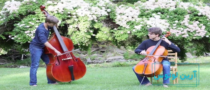 تفاوت ویولن سل و کنترباس