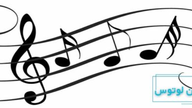 تم در موسیقی