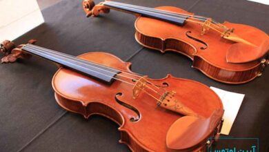 تفاوت ساز ویولن و ویولا