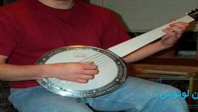 معرفی ساز جنبش