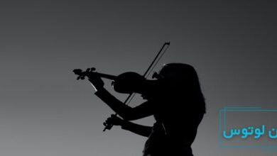 حقایق جالب درباره ویولن