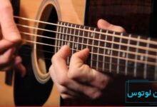 حقایق جالب درباره گیتار