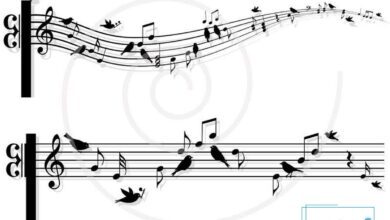 آشنایی کامل با فرم واریاسیون