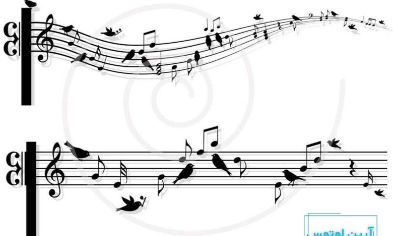 آشنایی کامل با فرم واریاسیون