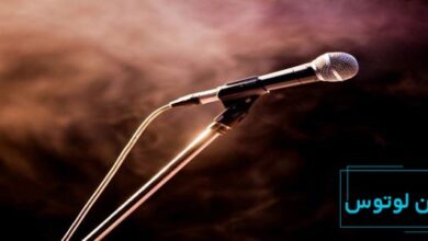 جملات خوانندگان معروف درباره خوانندگی