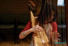 همه چیز درباره ساز چنگ