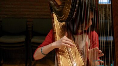 همه چیز درباره ساز چنگ