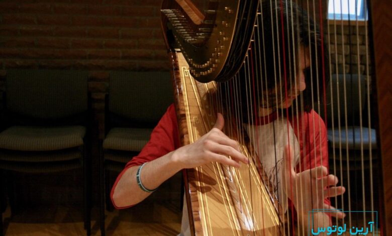 همه چیز درباره ساز چنگ