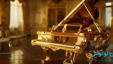 دلایل گران بودن پیانو