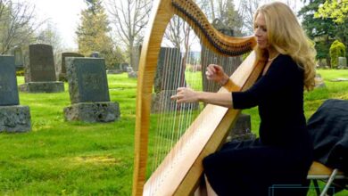 ساز ها و زیرشاخه های سبک نیو ایج