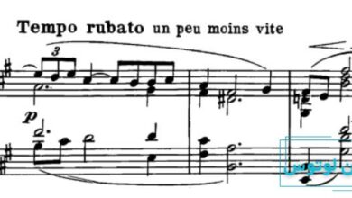 روباتو در موسیقی