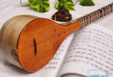 انواع مضراب سه تار برای نواختن