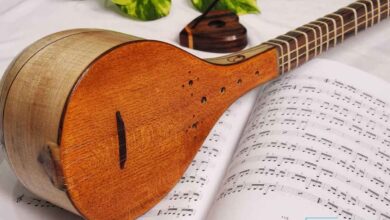 انواع مضراب سه تار برای نواختن