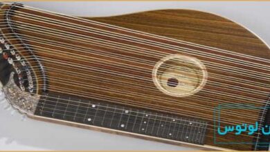 معرفی ساز زیتر