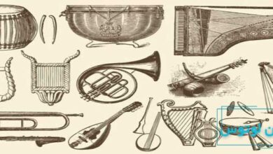 سازشناسی چیست