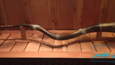 معرفی ساز بوق