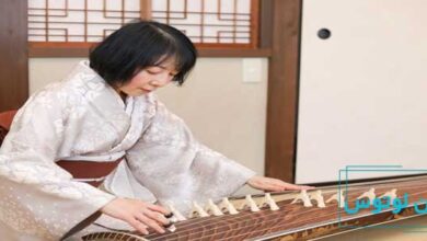 معرفی ساز کوتو