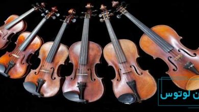 راهنمای انتخاب سایز ویولن