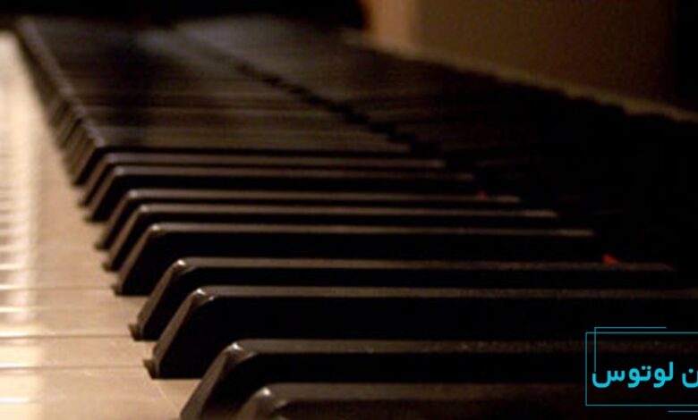 اکتاو چیست؟