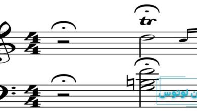 فرماتا در موسیقی چیست