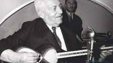 مرتضی نی‌داوود، نوازنده تار و ردیف دان یرانی