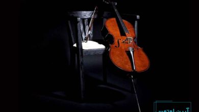 بهترین آموزشگاه ویولنسل در شرق تهران