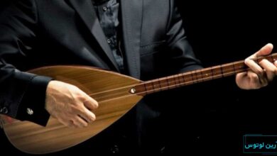 دیوان،ساز کردی