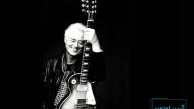 مارک نافلر، گیتاریست تحسین شده بریتانیایی