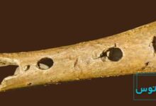 قدیمی ترین ساز دنیا