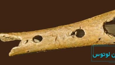 قدیمی ترین ساز دنیا