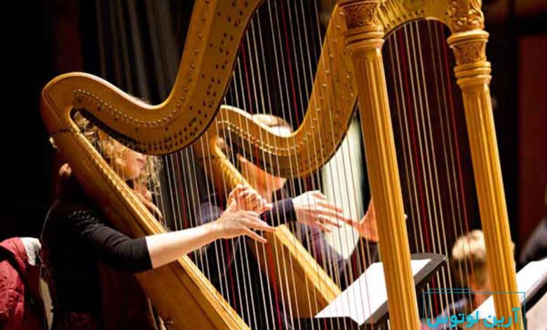 تاریخچه ساز افسانه ای چنگ