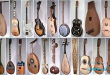 انواع سازهای زهی از نظر شیوهٔ نواختن