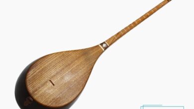 معرفی ساز دو تار