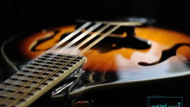 آشنایی با ساز ماندولین