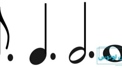 نت نقطه دار