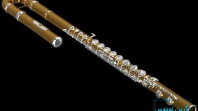 آشنایی با ساز فلوت آلتو