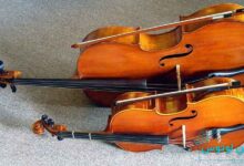 تفاوت های ویلون با ویلونسل