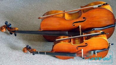 تفاوت های ویلون با ویلونسل