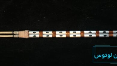 همه‌چیز درباره ساز قوشمه