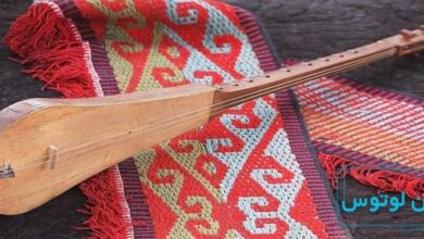 معرفی ساز چگور