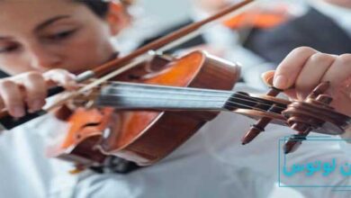 آموزش کوک کردن ویولن در ۵ مرحله برای مبتدی‌ها