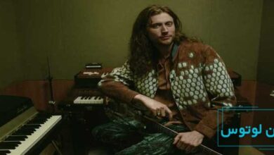 بیوگرافی لودویگ گورانسون