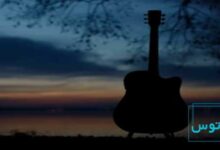 جملات بزرگان درباره گیتار