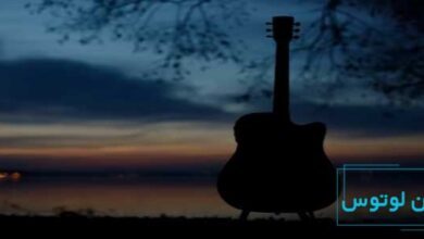 جملات بزرگان درباره گیتار