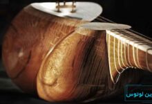 ویژگی های پوست مناسب برای ساز تار