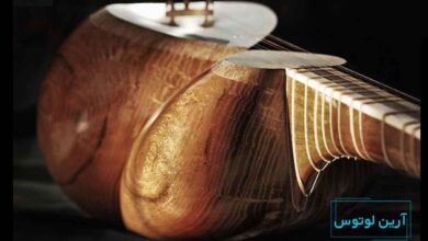 ویژگی های پوست مناسب برای ساز تار