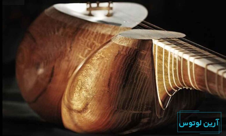 ویژگی های پوست مناسب برای ساز تار