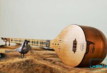 مهم ترین تکنیک های نواختن تار و سه تار