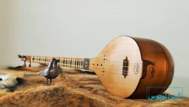 مهم ترین تکنیک های نواختن تار و سه تار