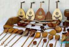 ساز زهی چیست؟